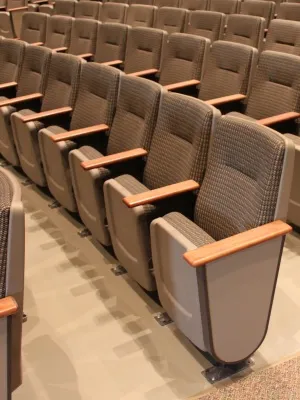 A row of seats in an auditorium with no one sitting.